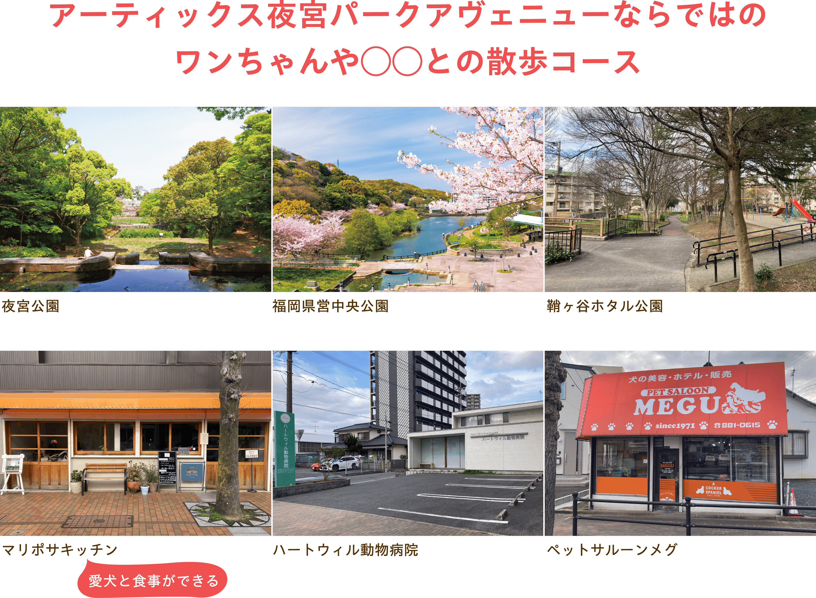 アーティックス夜宮パークアヴェニューならではのワンちゃんや◯◯との散歩コース